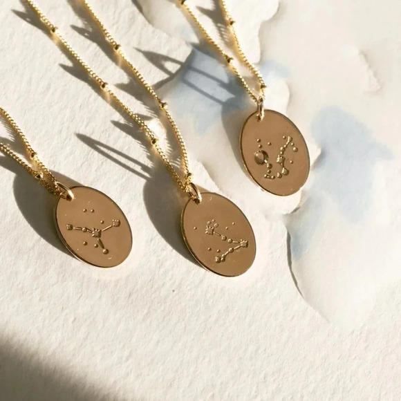Pisces Zodiac Minimalist Charm Oval Disc Necklace - Picture 6 of 11
